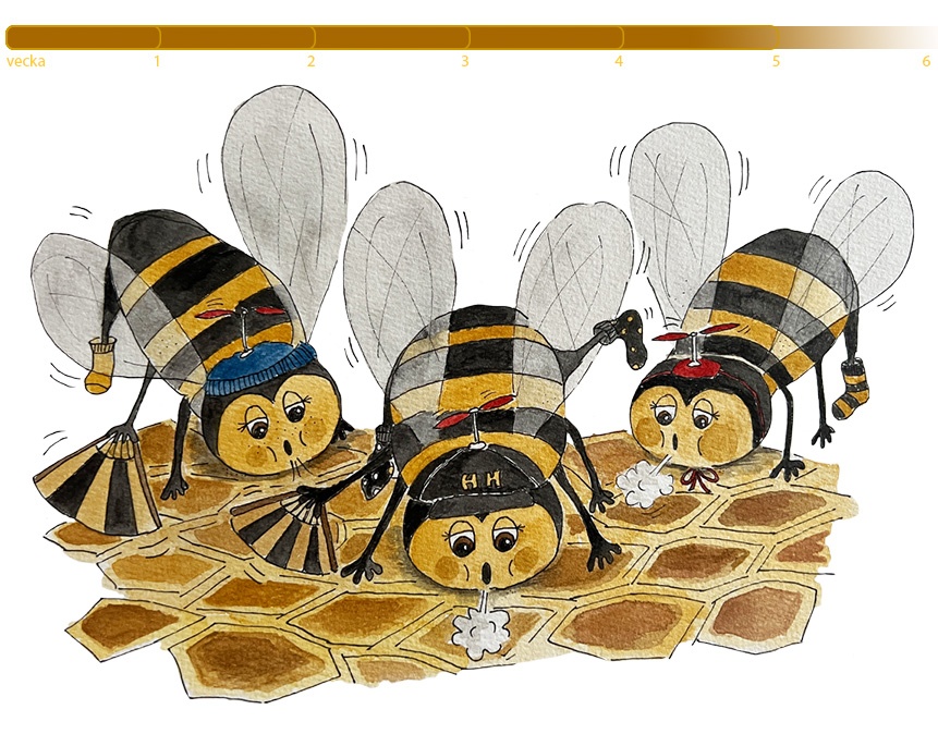 Mitt liv som arbetsbi_fläktar honung