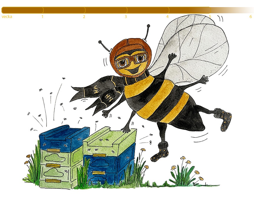 Mitt liv som arbetsbi_samlarbi