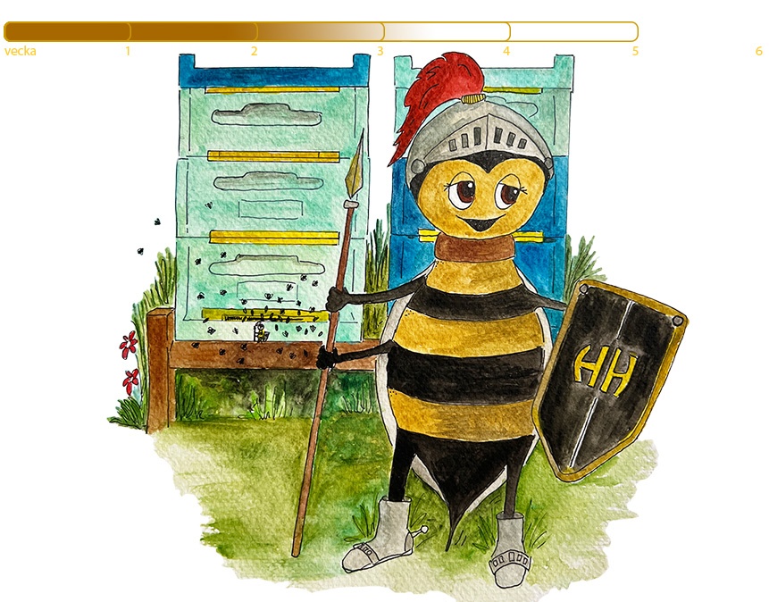 Mitt liv som arbetsbi_vaktbi